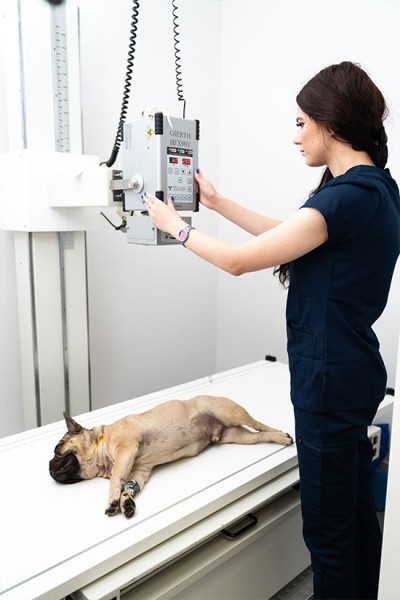 Zdjęcia-przy-pracy-lekarze Zdjęcia employer branding w firmie Otwock-3